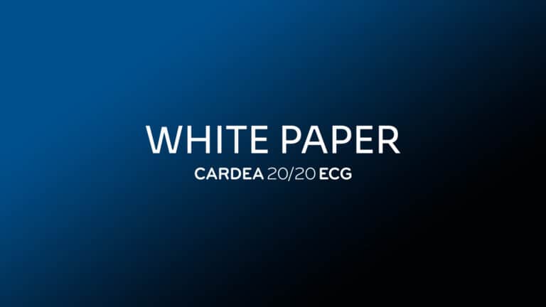 2020 Background - White Paper